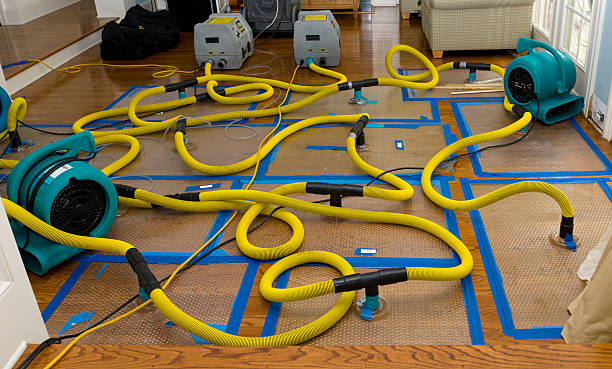Professional Crawl Space Water Removal technician working in Mayville, NY